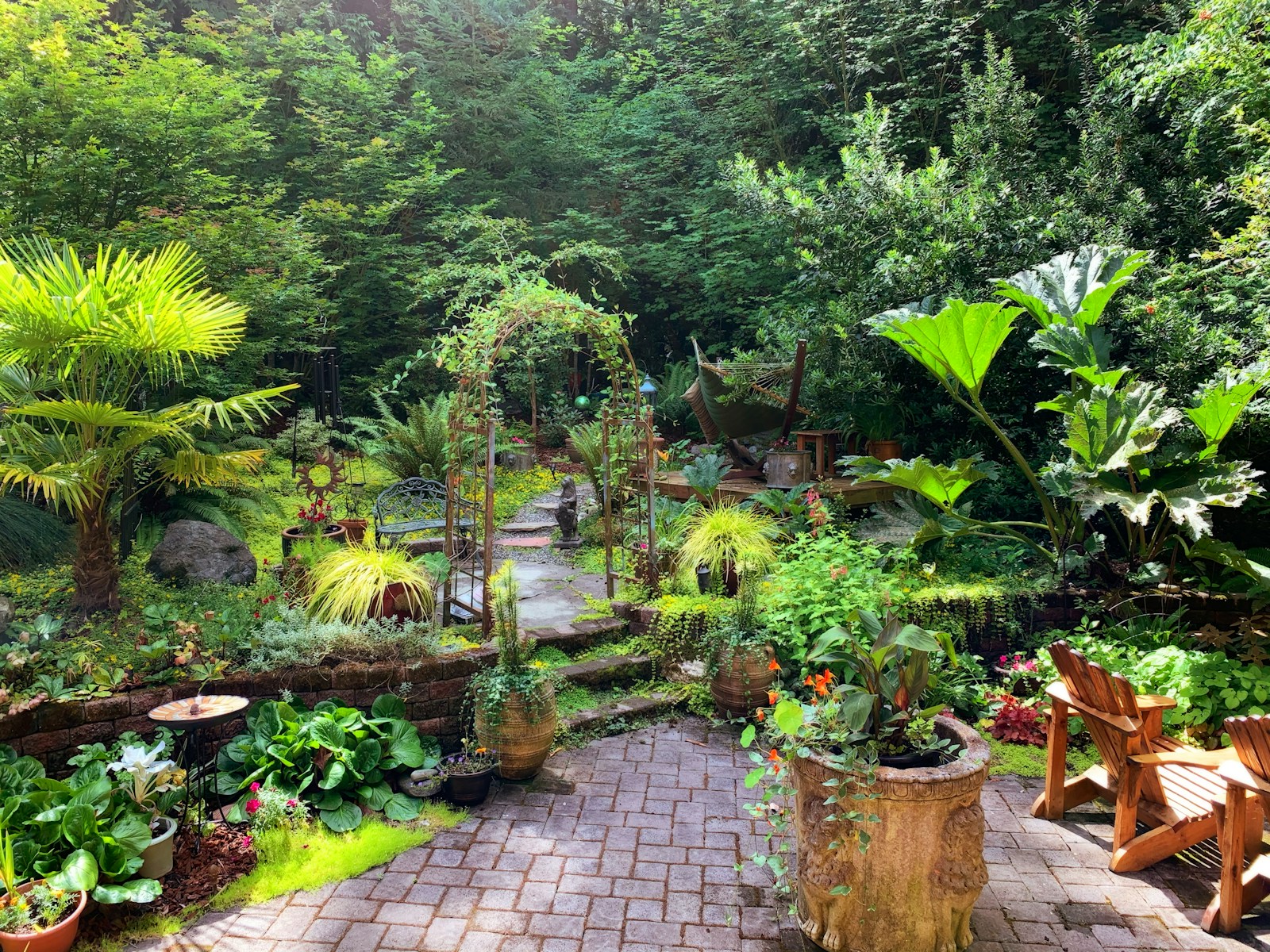 green plants on brown clay pots